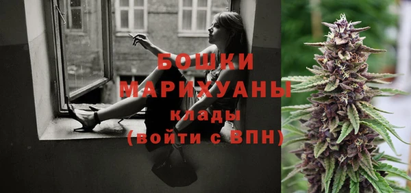 прущие грибы Покровск
