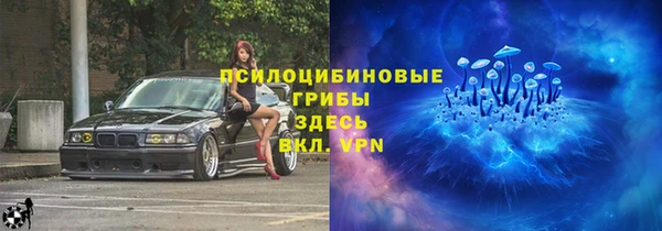 прущие грибы Покровск